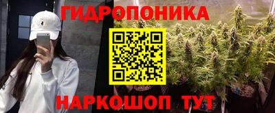 PSILOCYBIN Кулебаки