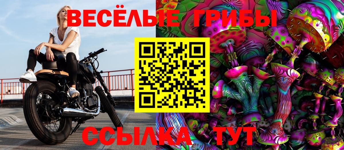 Псилоцибиновые грибы Psilocybe Тельмана